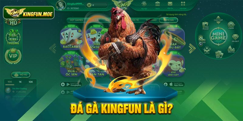 Đá gà Kingfun là gì?